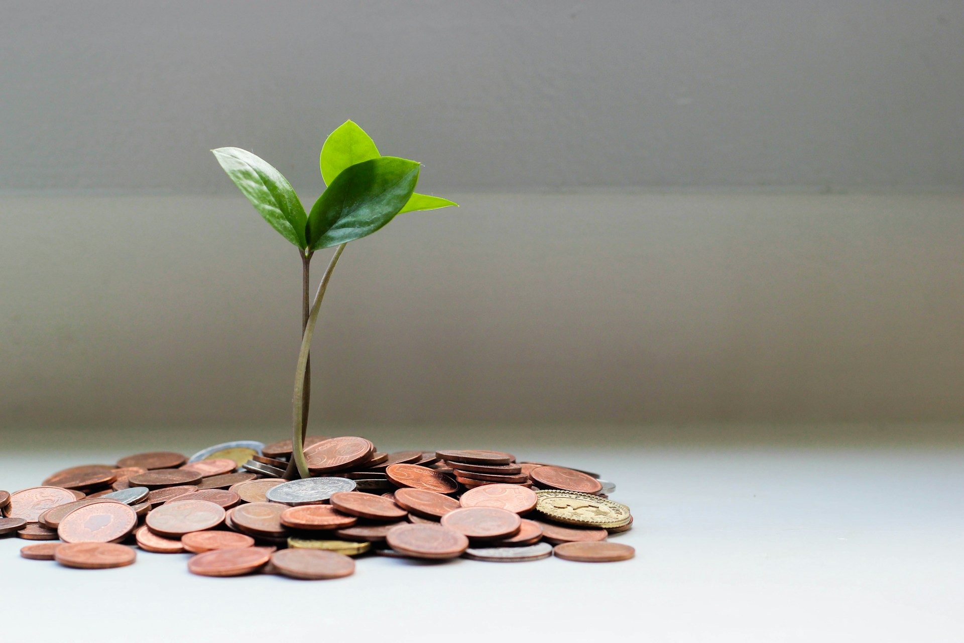 Ebook para sanar finanzas personales